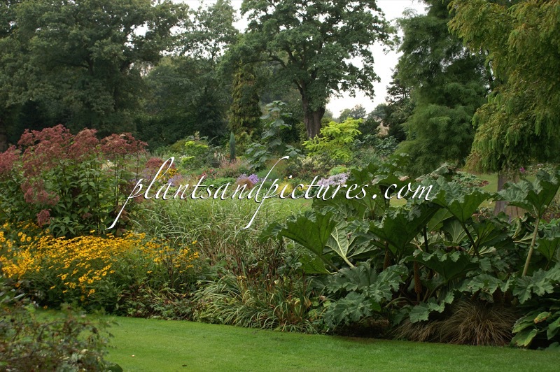 Beth Chatto Gardens