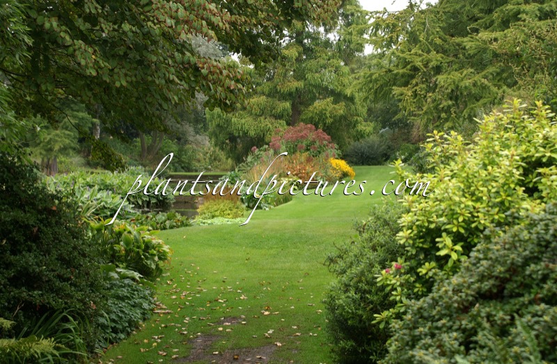 Beth Chatto Gardens