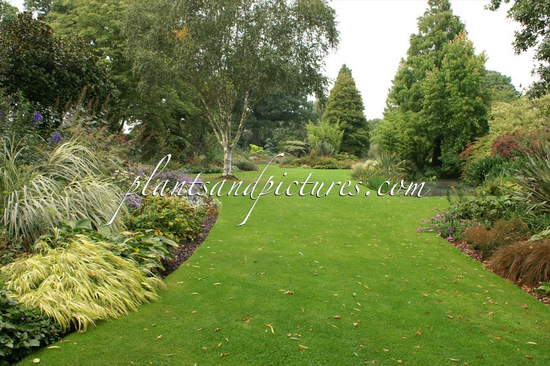Beth Chatto Gardens
