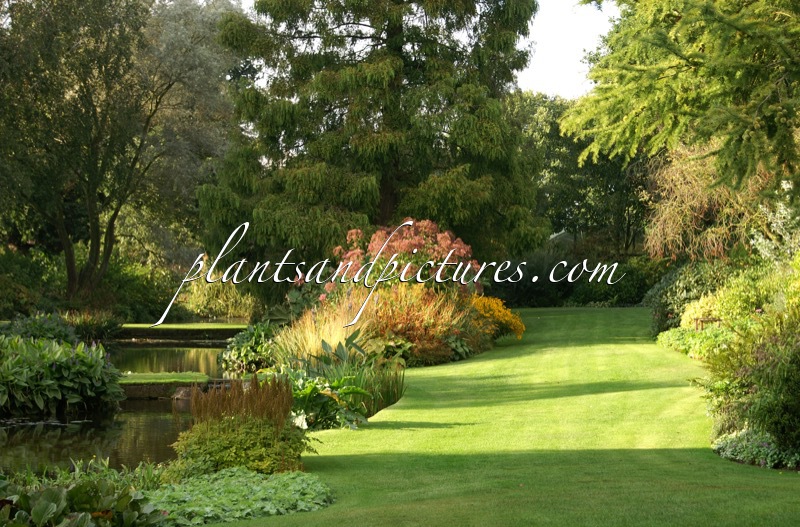 Beth Chatto Gardens