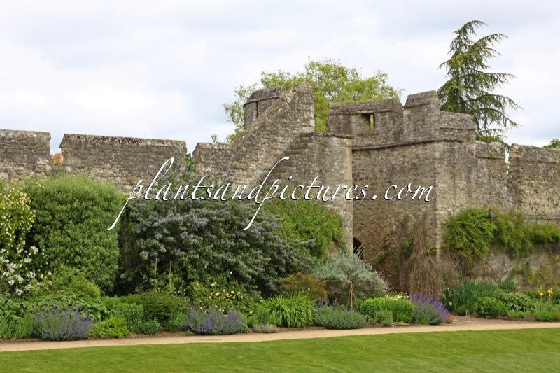 Oxford, border New College