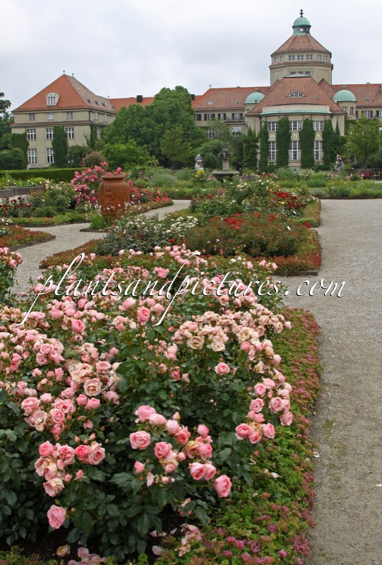 Botanischer Garten München