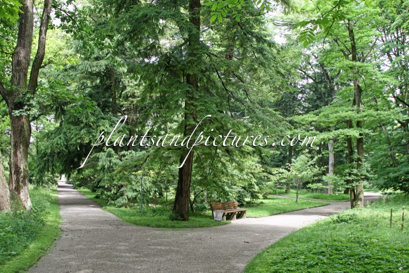 Botanischer Garten München