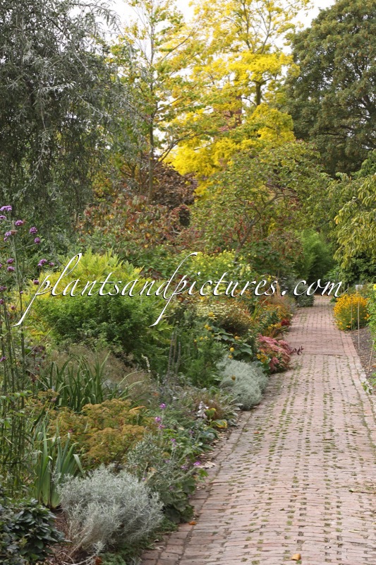 Secret Gardens of Sandwich