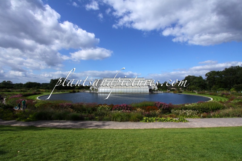 RHS Wisley Garden