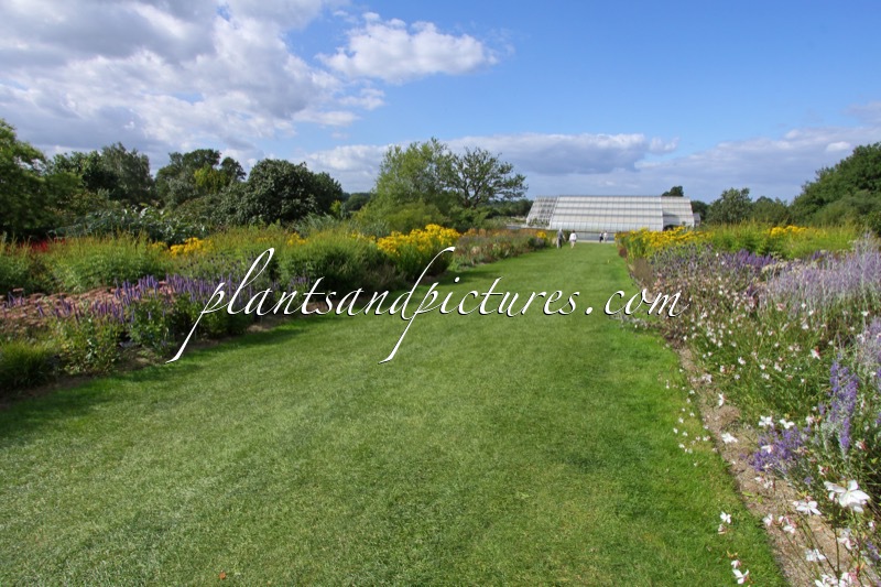 RHS Wisley Garden