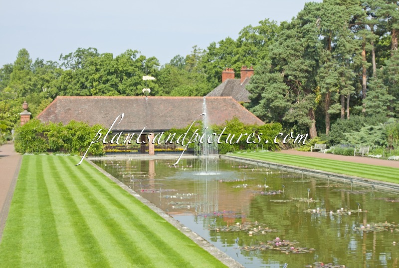 RHS Wisley Garden