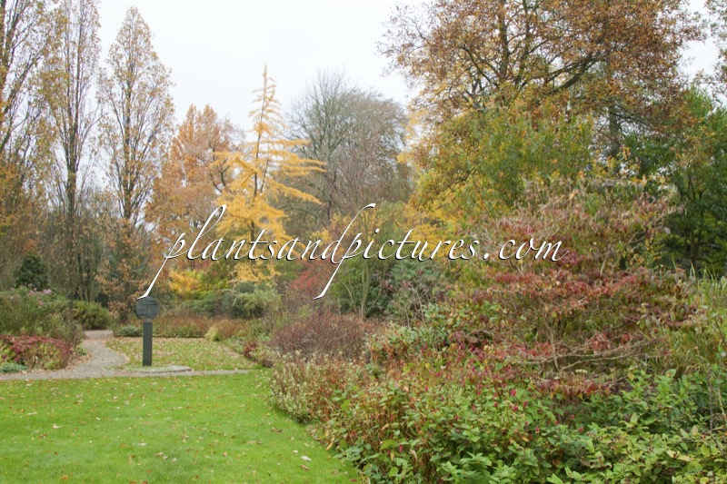 Trompenburg Tuinen & Arboretum