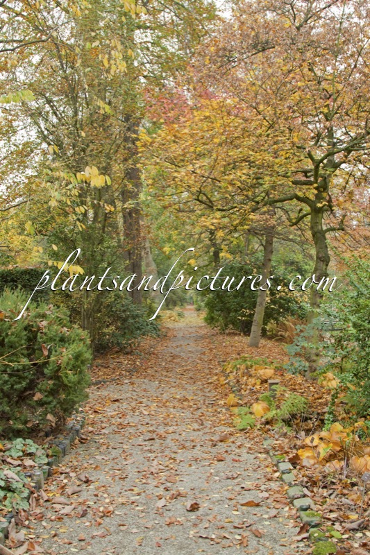 Trompenburg Tuinen & Arboretum