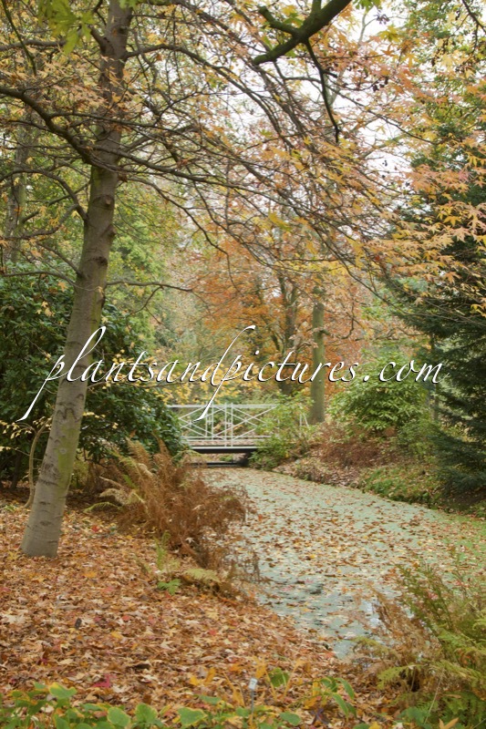 Trompenburg Tuinen & Arboretum