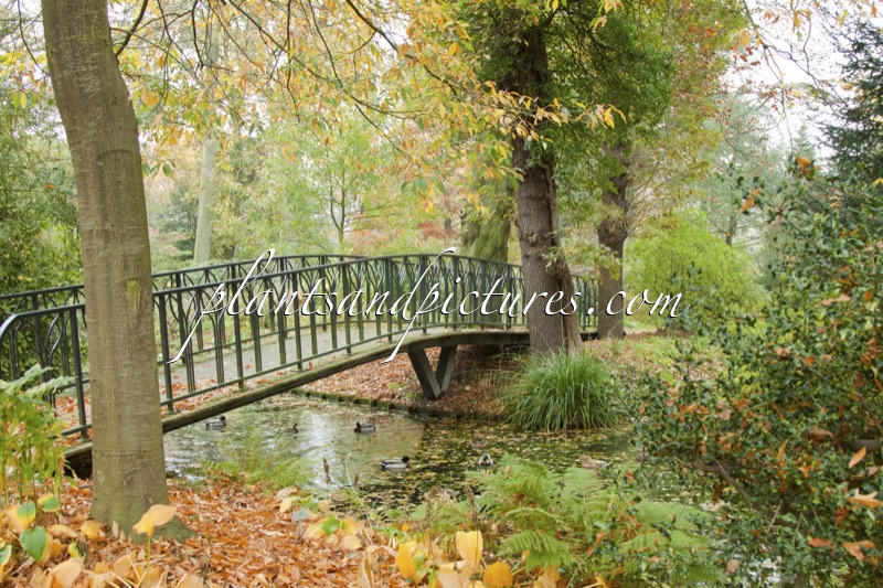 Trompenburg Tuinen & Arboretum