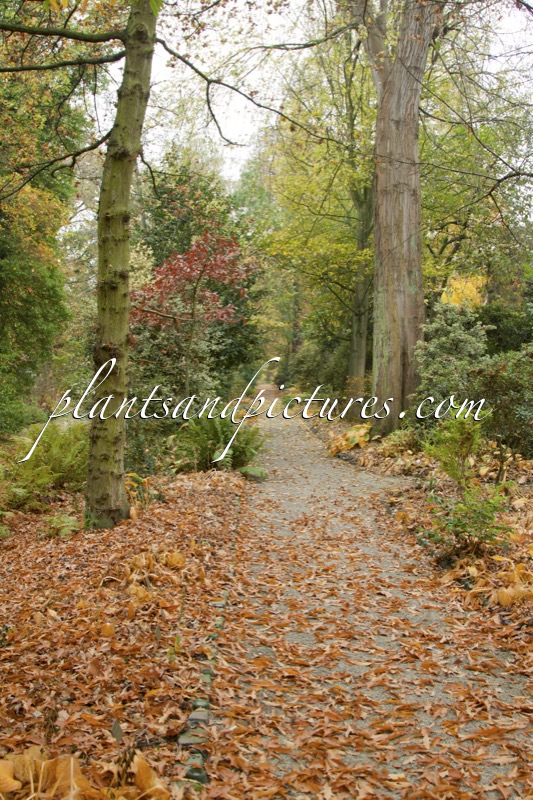 Trompenburg Tuinen & Arboretum