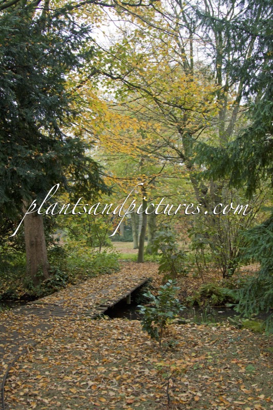 Trompenburg Tuinen & Arboretum