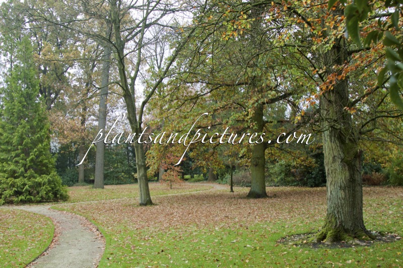 Trompenburg Tuinen & Arboretum