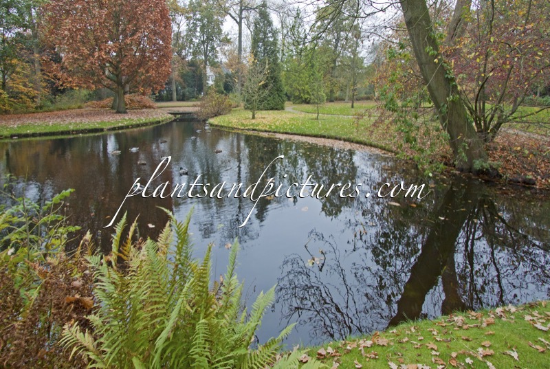 Trompenburg Tuinen & Arboretum