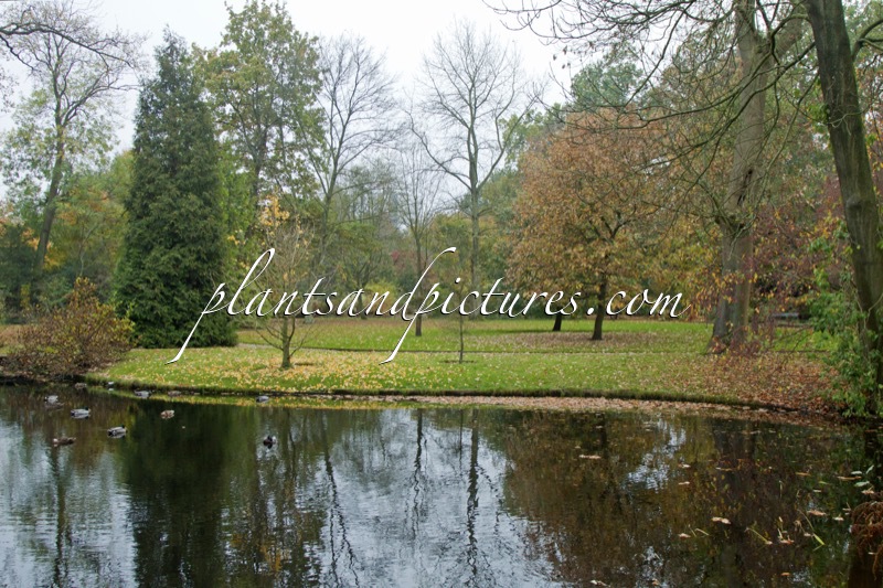 Trompenburg Tuinen & Arboretum