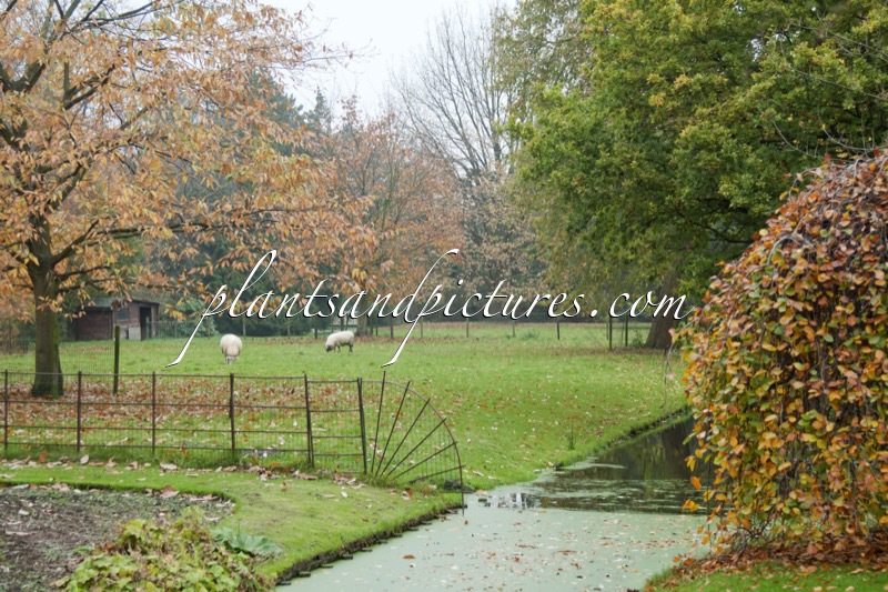 Trompenburg Tuinen & Arboretum