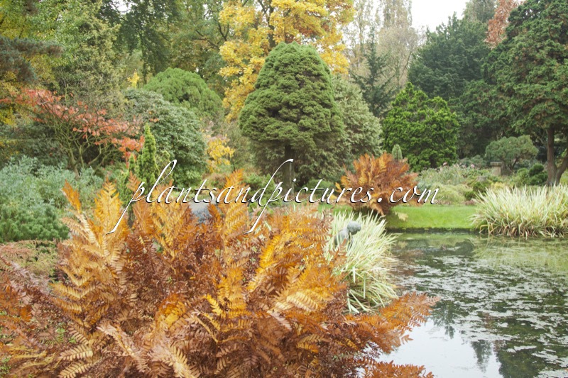 Trompenburg Tuinen & Arboretum