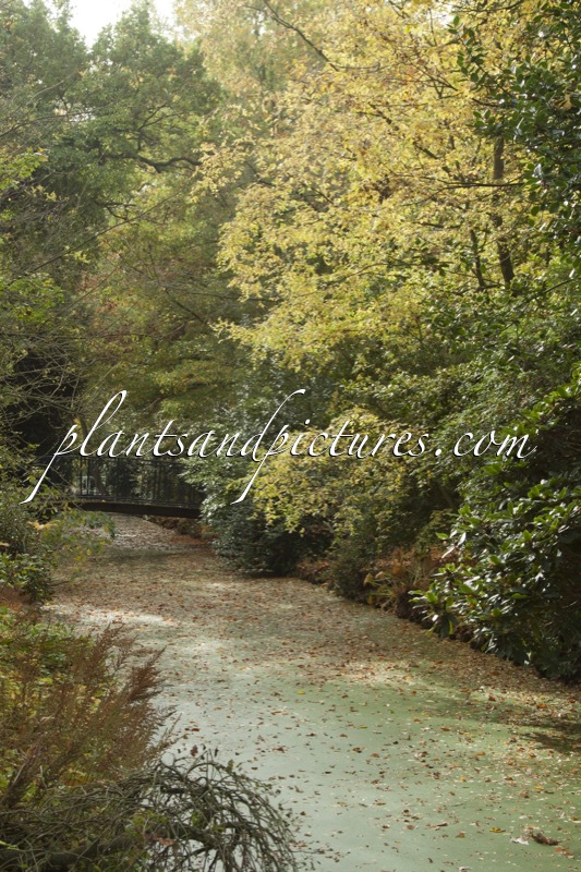 Trompenburg Tuinen & Arboretum