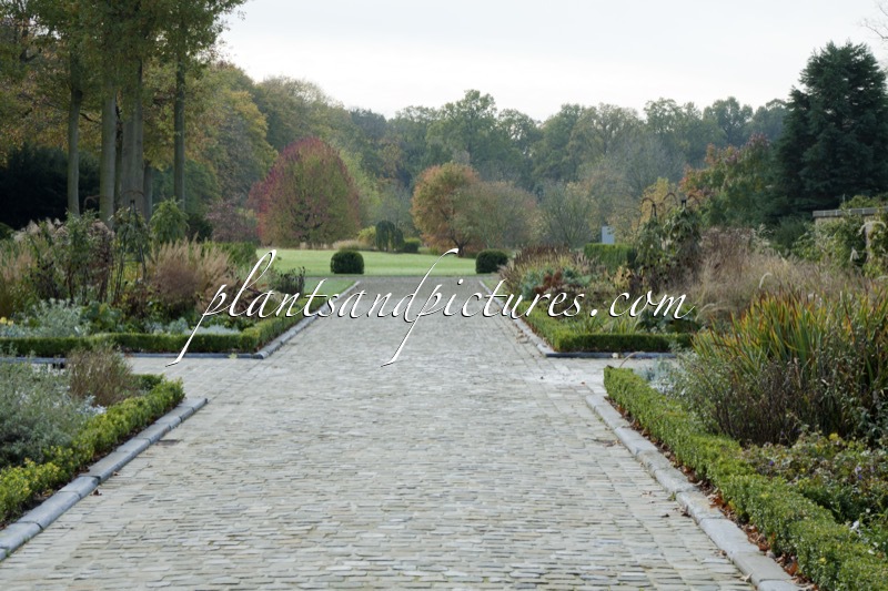 Arboretum Wespelaar