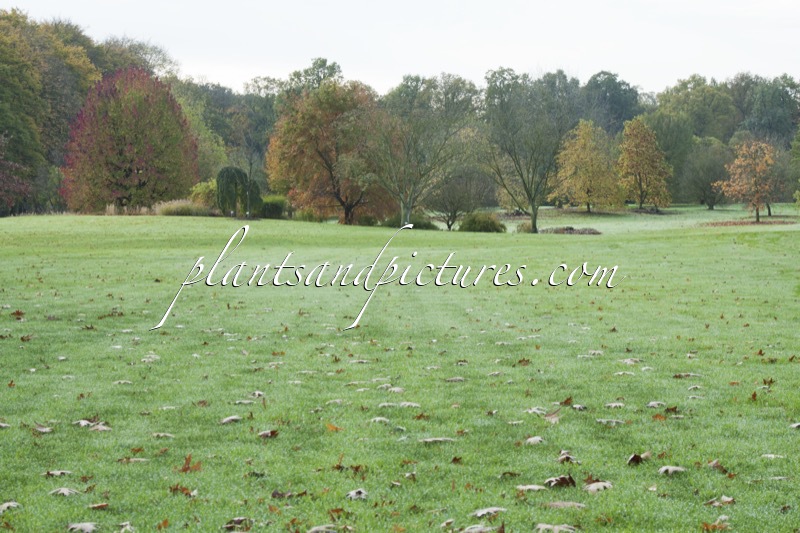 Arboretum Wespelaar