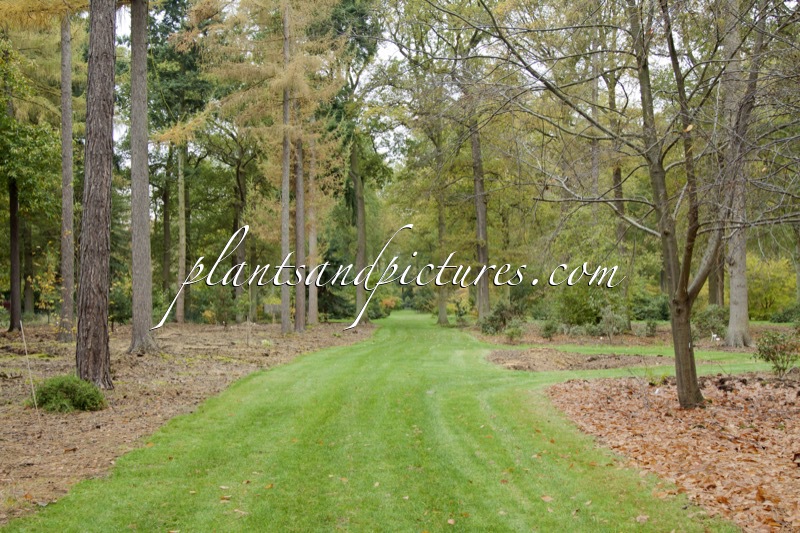 Arboretum Wespelaar