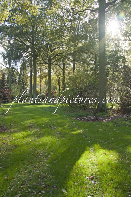 Arboretum Wespelaar