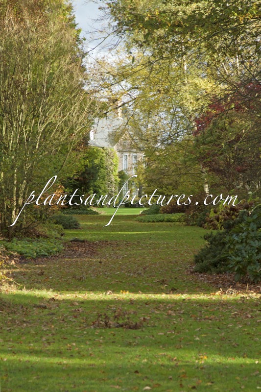 Arboretum Wespelaar