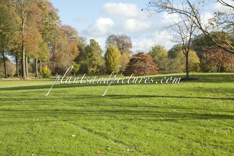 Arboretum Wespelaar