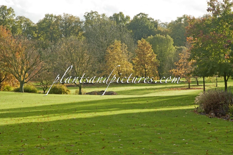 Arboretum Wespelaar