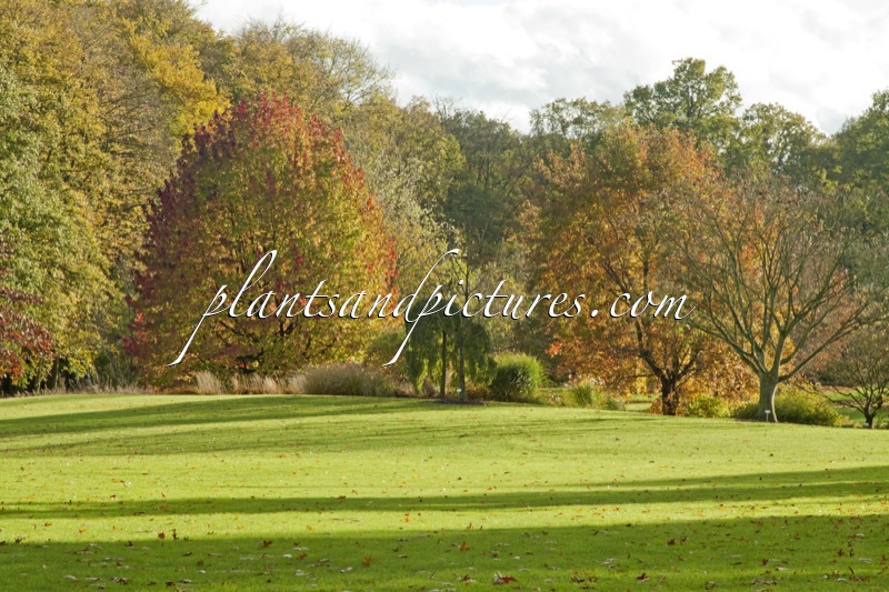 Arboretum Wespelaar