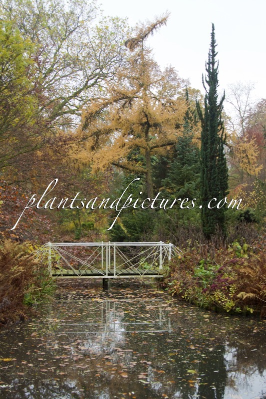 Trompenburg Tuinen & Arboretum