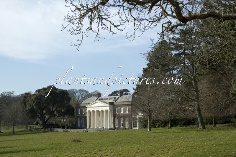 Trelissick Garden