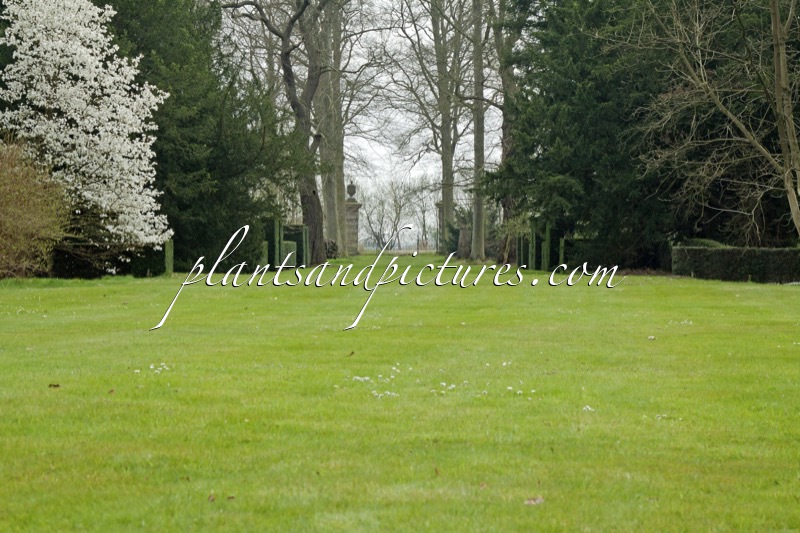 Arboretum Wespelaar