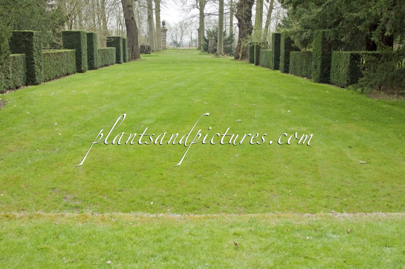 Arboretum Wespelaar
