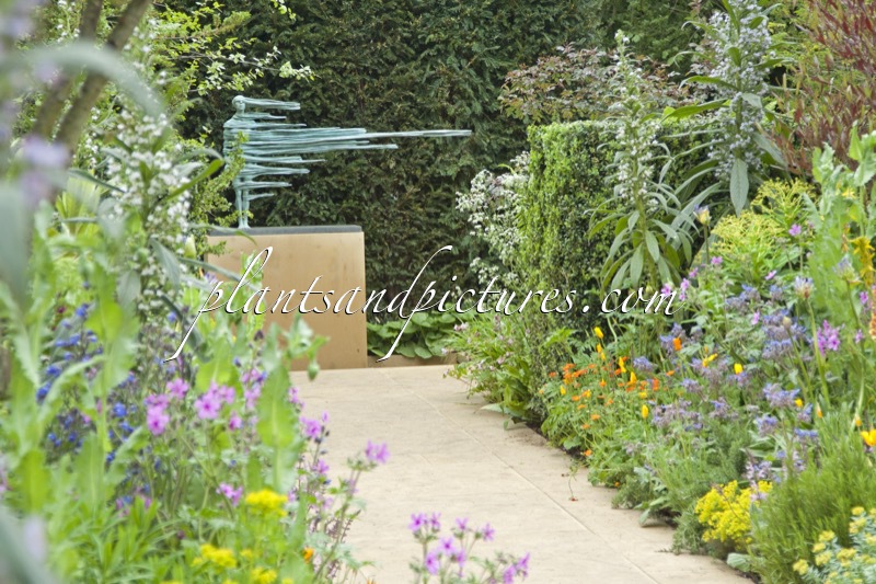 RHS Chelsea Flower Show