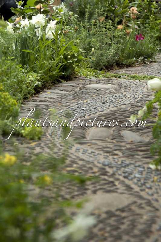 RHS Chelsea Flower Show