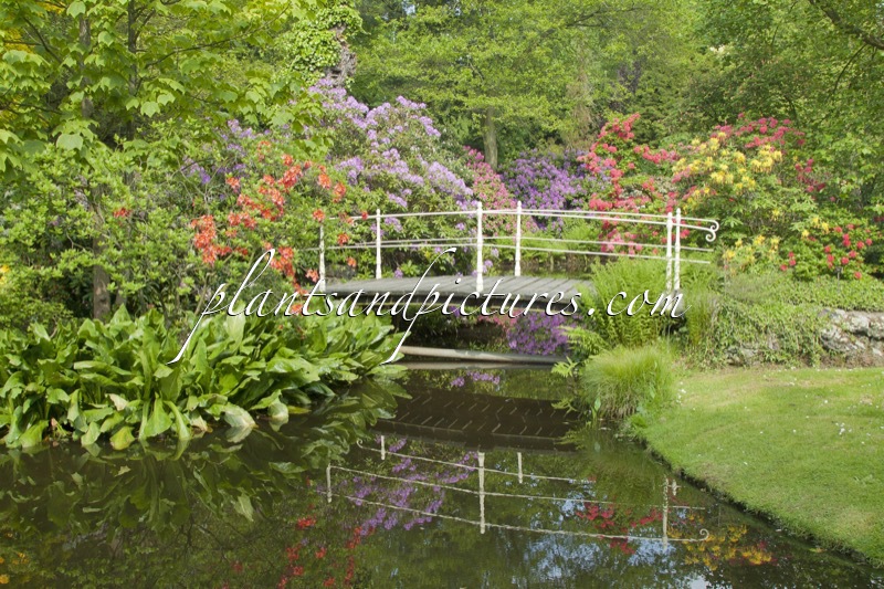 Trompenburg Tuinen & Arboretum