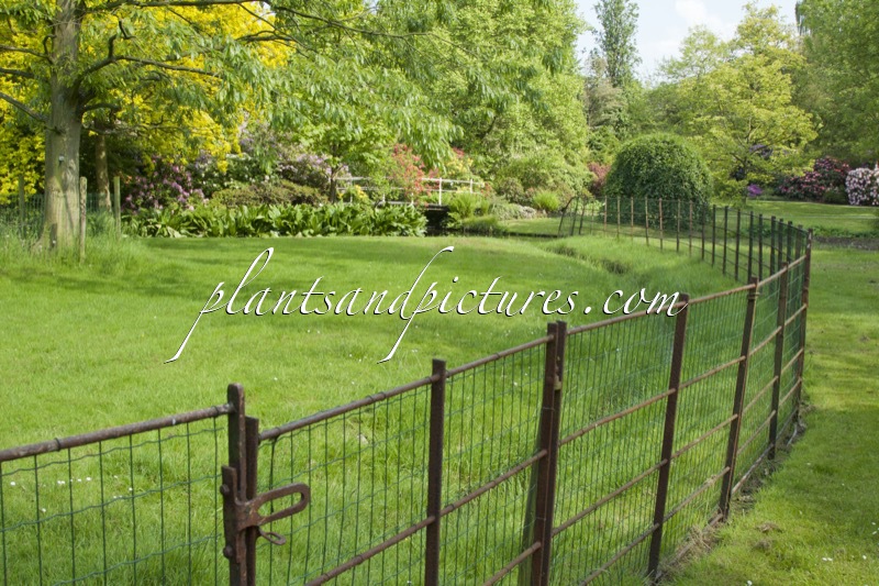 Trompenburg Tuinen & Arboretum