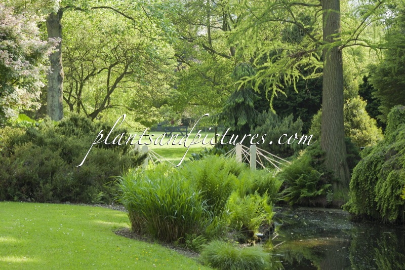 Trompenburg Tuinen & Arboretum