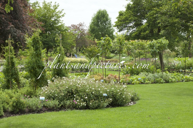 Sortimentstuin Harry van de Laar