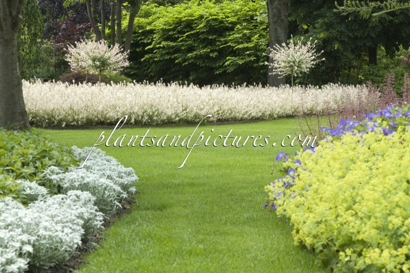 Sortimentstuin Harry van de Laar