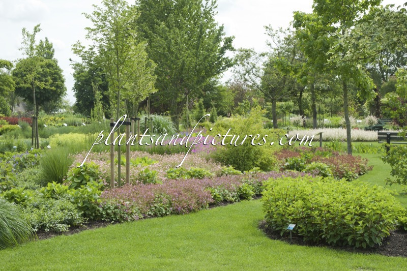 Sortimentstuin Harry van de Laar