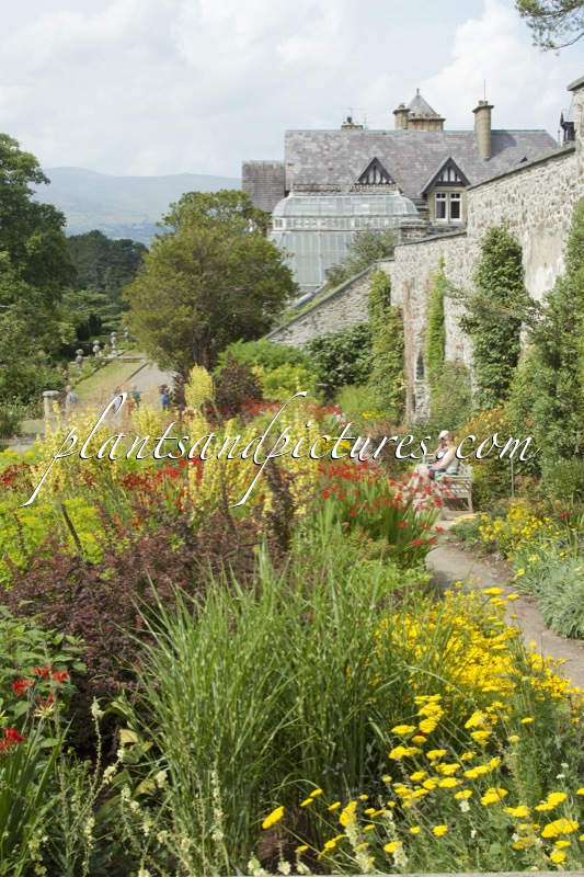 Bodnant Garden
