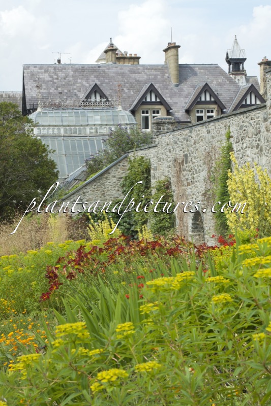 Bodnant Garden