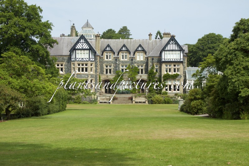 Bodnant Garden