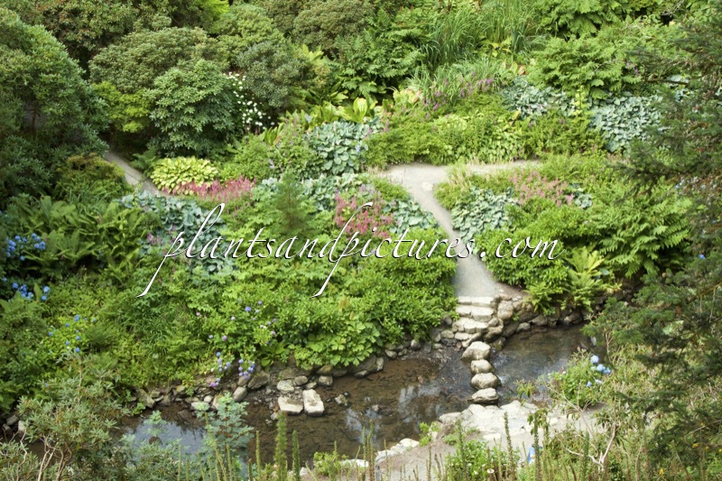 Bodnant Garden