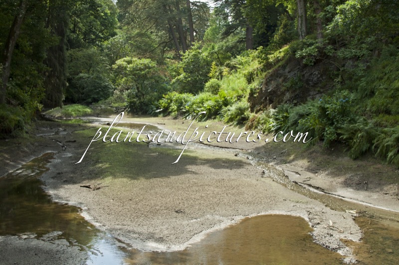 Bodnant Garden