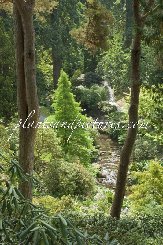 Bodnant Garden