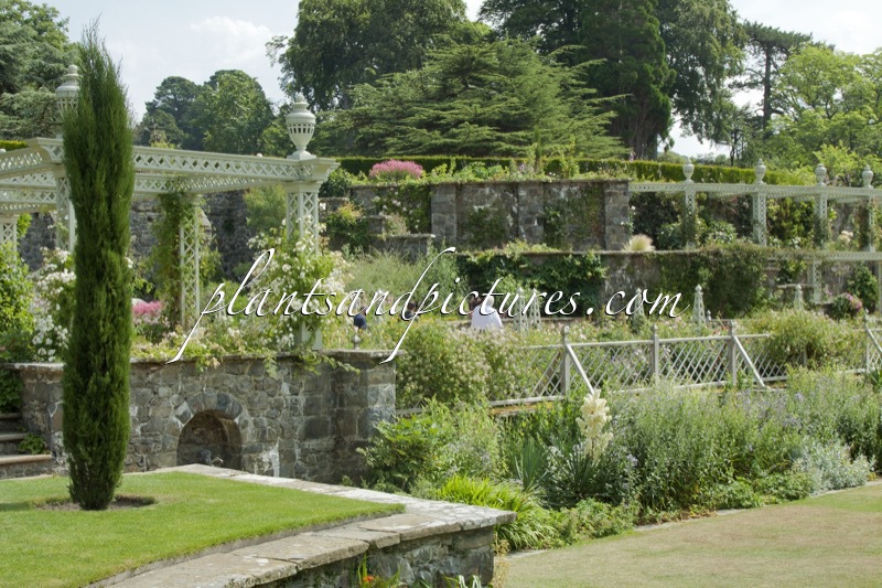 Bodnant Garden